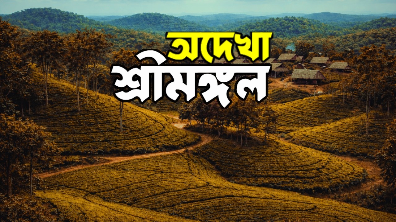 শ্রীমঙ্গলের আসল রূপ এভাবে আগে কেউ দেখায়নি 🌿 Sreemangal Tour