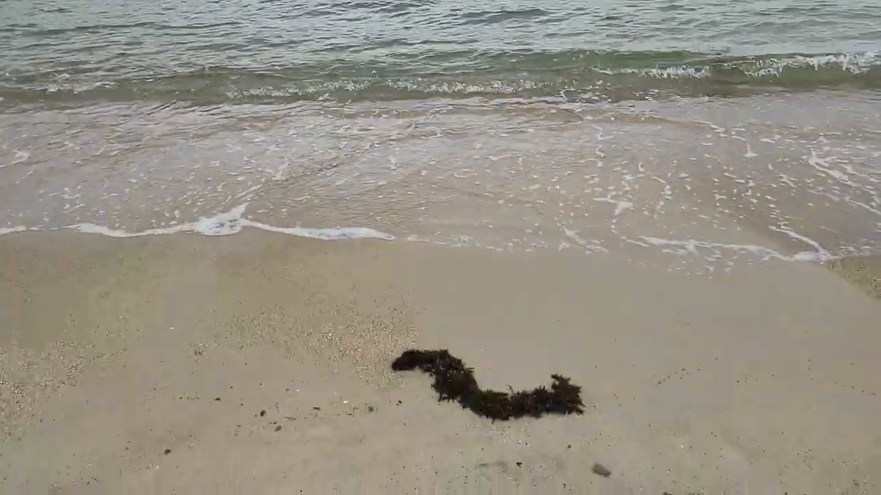 Stanley Beach, Hongkong