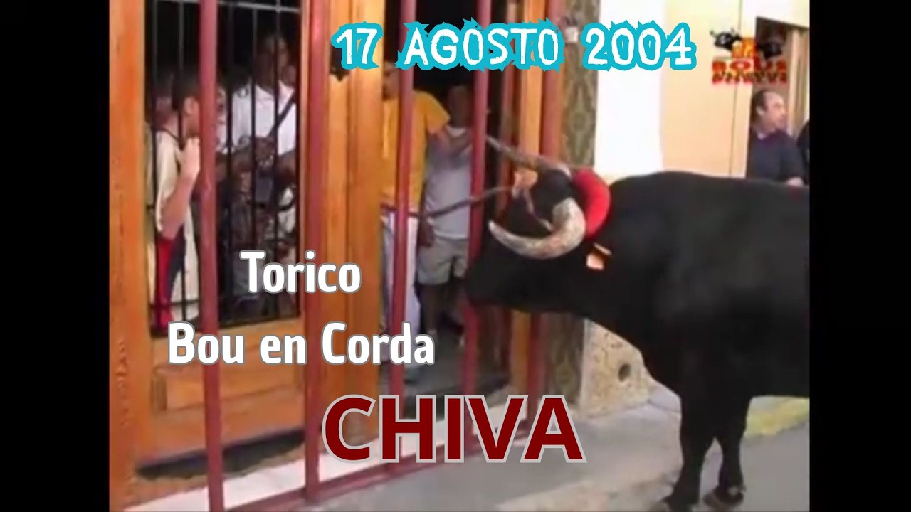 2004 08 17 CHIVA EL TORICO BOU EN CORDA