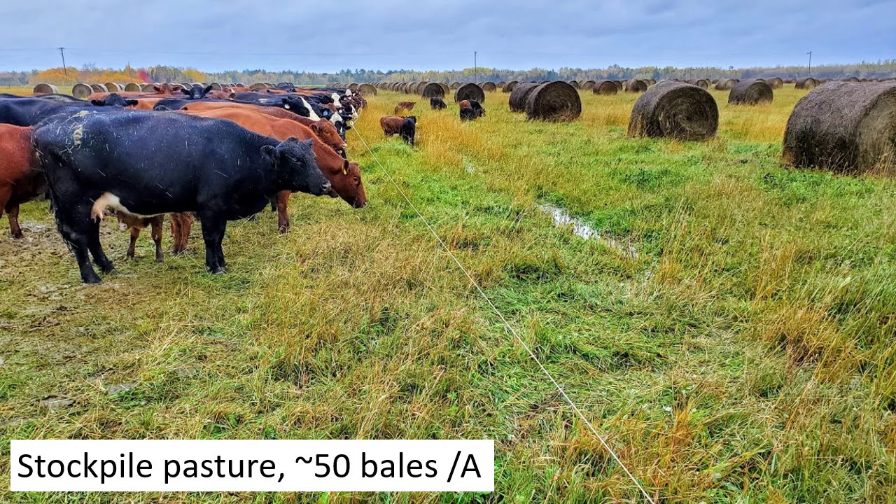 Bale Grazing Presentation  - Jeremy Sweeten