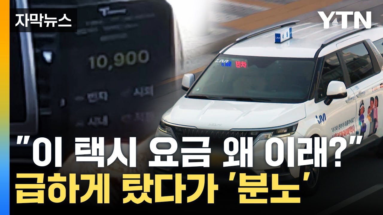 [자막뉴스] 