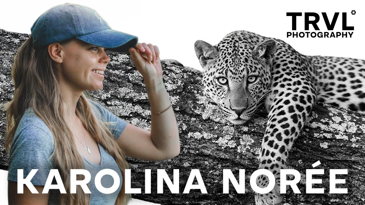 Who is Karolina Norée? Wildlife Photographer