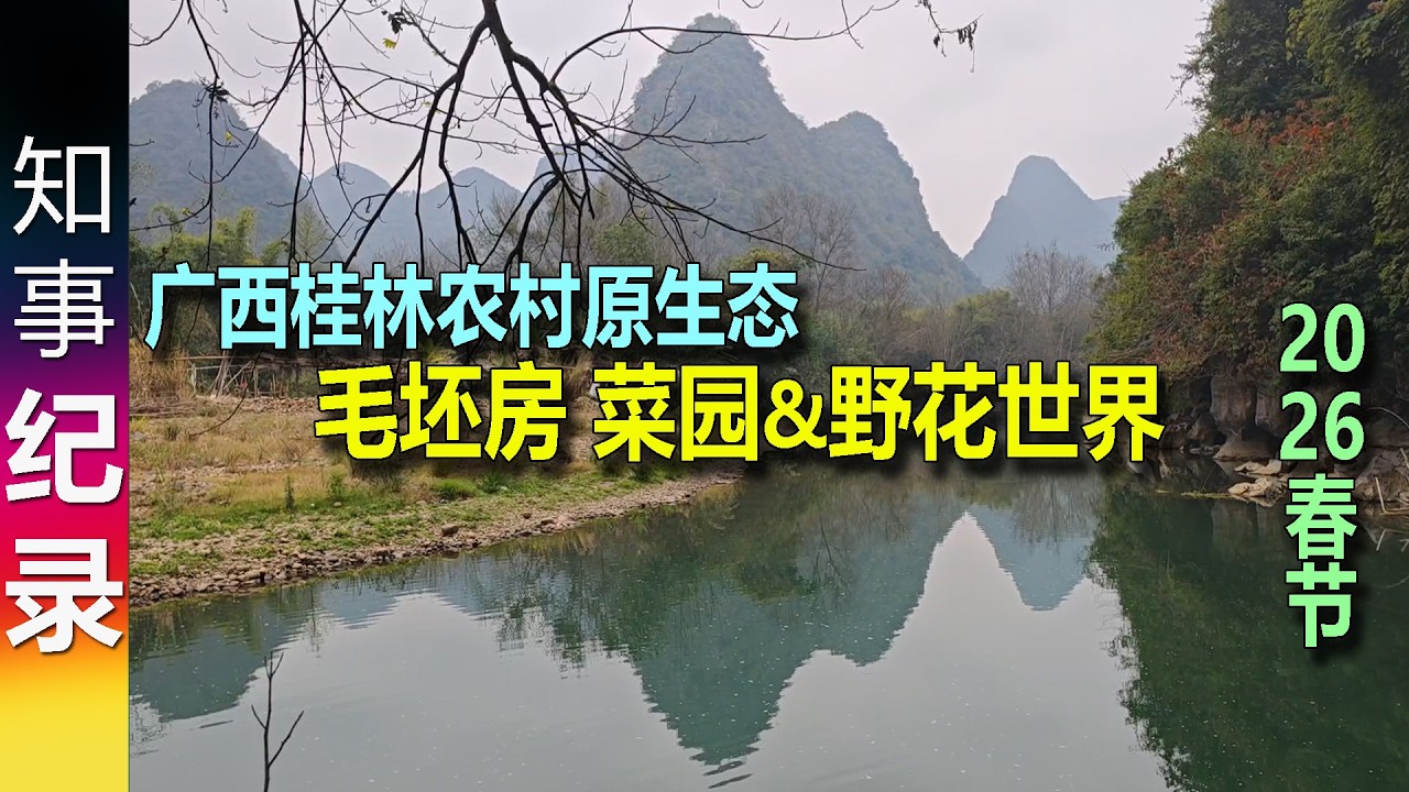 最真实的冬季广西桂林农村毛坯房 菜园 & 野花的世界 (2026年春节期间拍摄) Real Guilin village