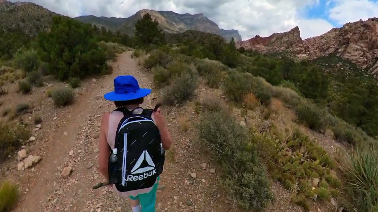 A Septuagenarian's Slow Paced Hike on the LaMadre Spring Trail, Red Rock Canyon