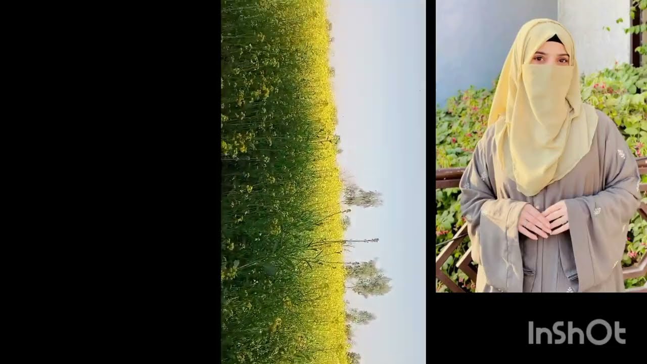 Village video