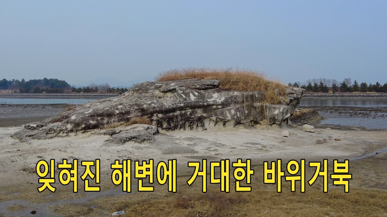 잊혀진 해변에 거대한 거북바위