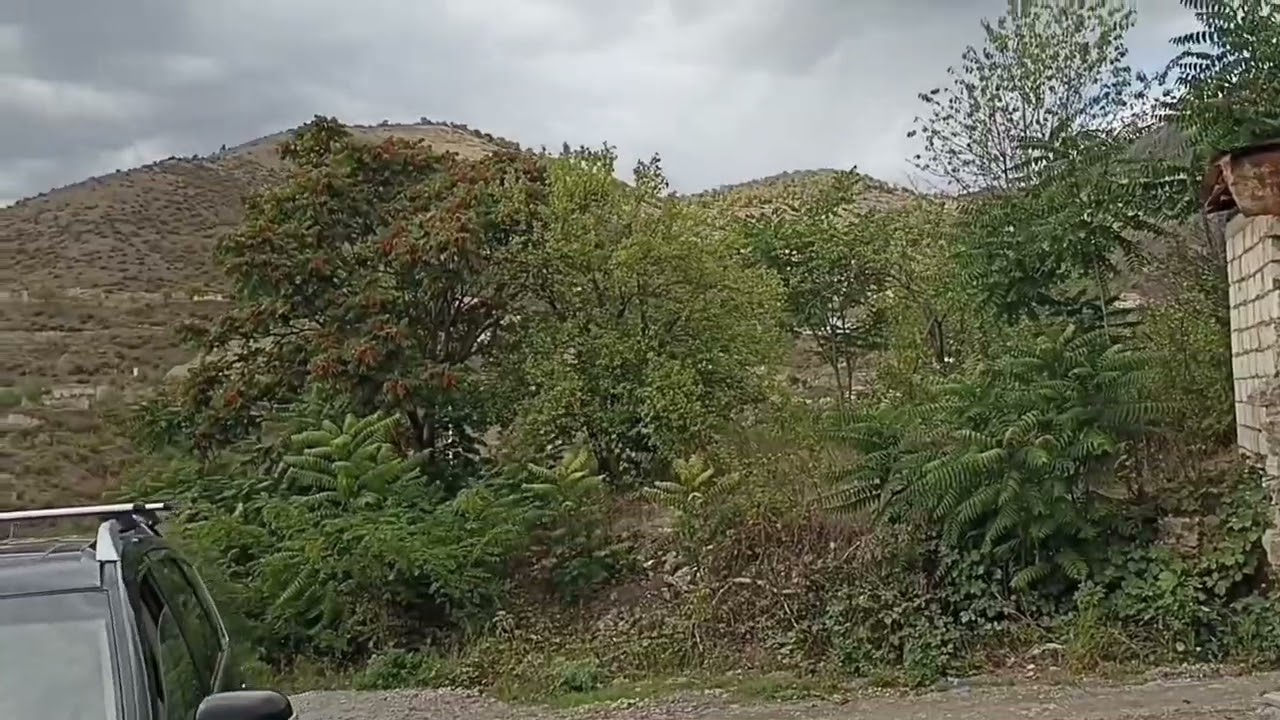 Yurda qayıdış haqda