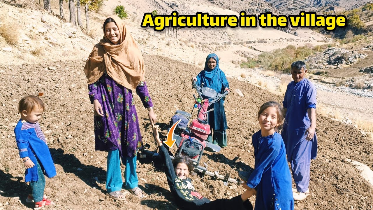 Father and Son Farming in Daikundi, Afghanistan | Traditional Village Life 🌾