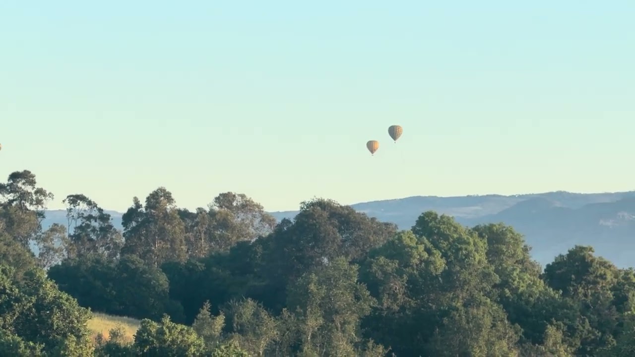 Westwood Hills Park, Napa ￼￼