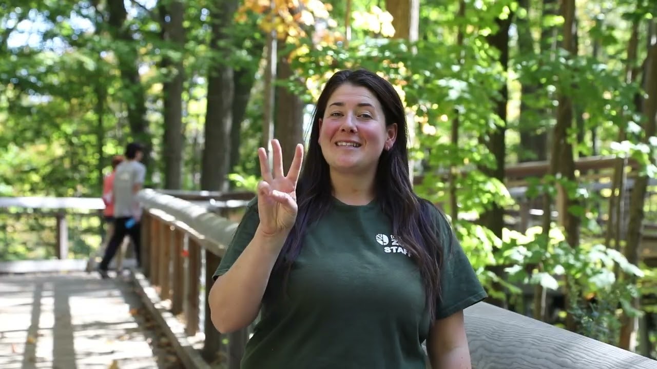 3 Reasons Why You Should Visit Your Toronto Zoo In The Fall 🍂🍁