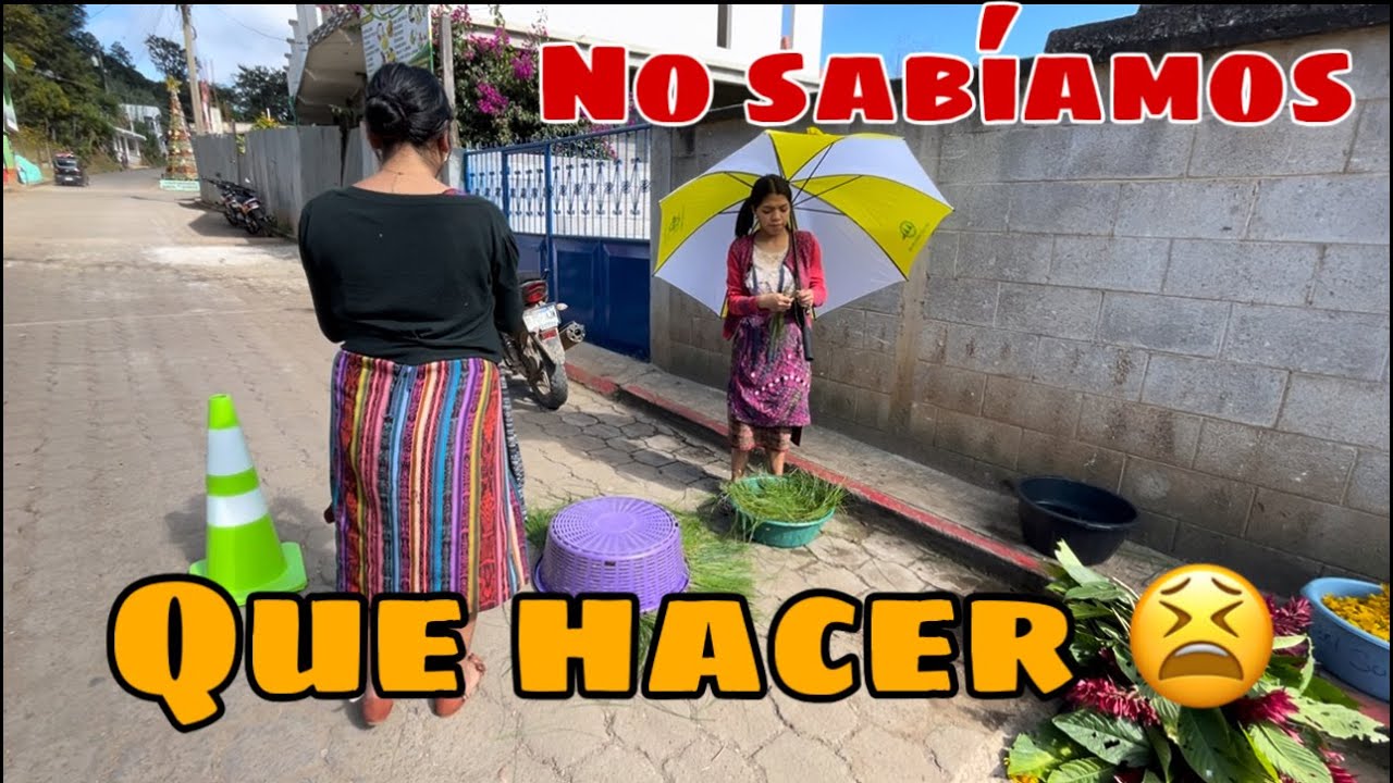 EMPEZAMOS HACER NUESTRA ALFOMBRA CON FLORES SILVESTRE || PROCESION DE LA VIRGEN DE GUADALUPE