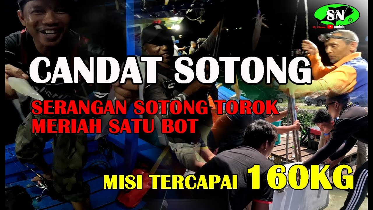 CANDAT SOTONG 🦑  serangan sotong torok meriah satu bot.