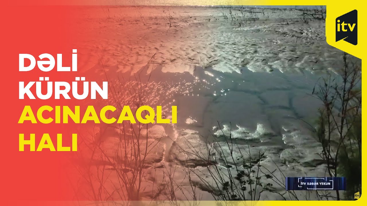 Kür quruyur: içməli su azalır, balıqlar məhv olur
