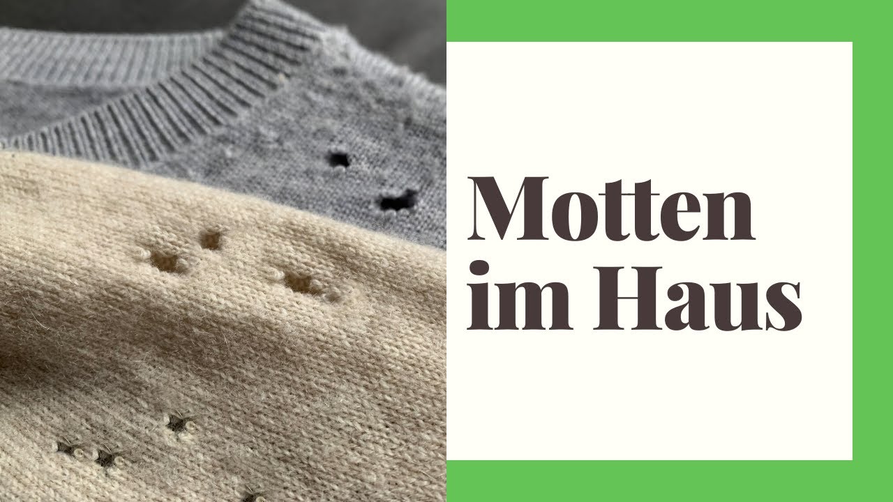 Motten im Haus natürlich bekämpfen - So geht's