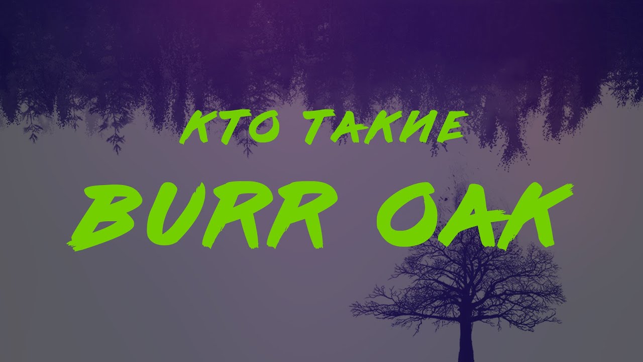 Кто такие Burr Oak