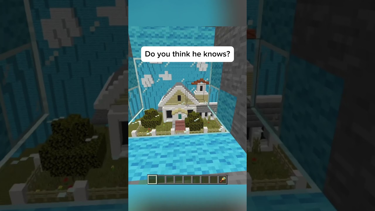 Truman show #minecraft #truman #memes
