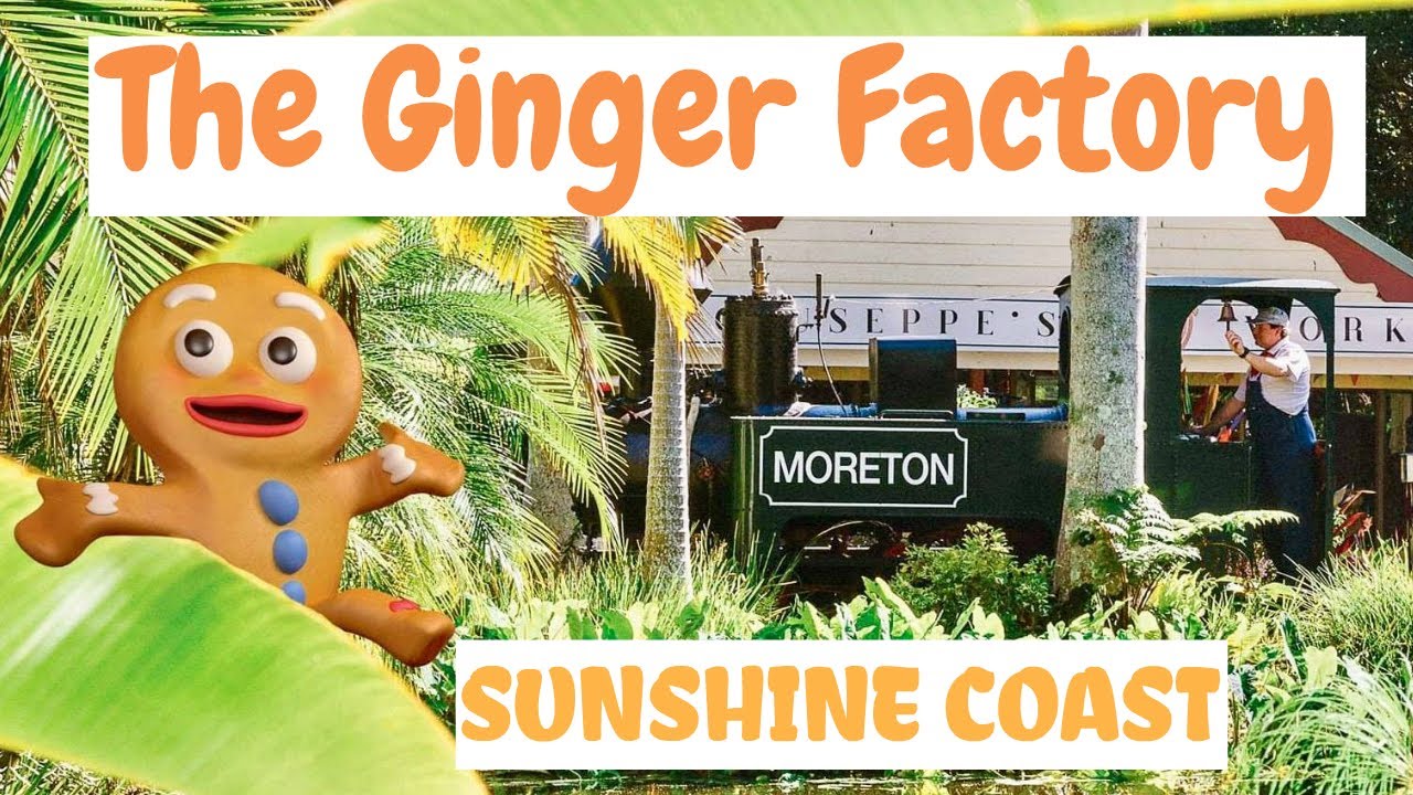 THE GINGER FACTORY | Sunshine Coast, Queensland, Australia Travel Vlog 054, 2020