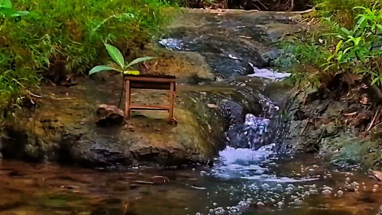 A peaceful stream in nature