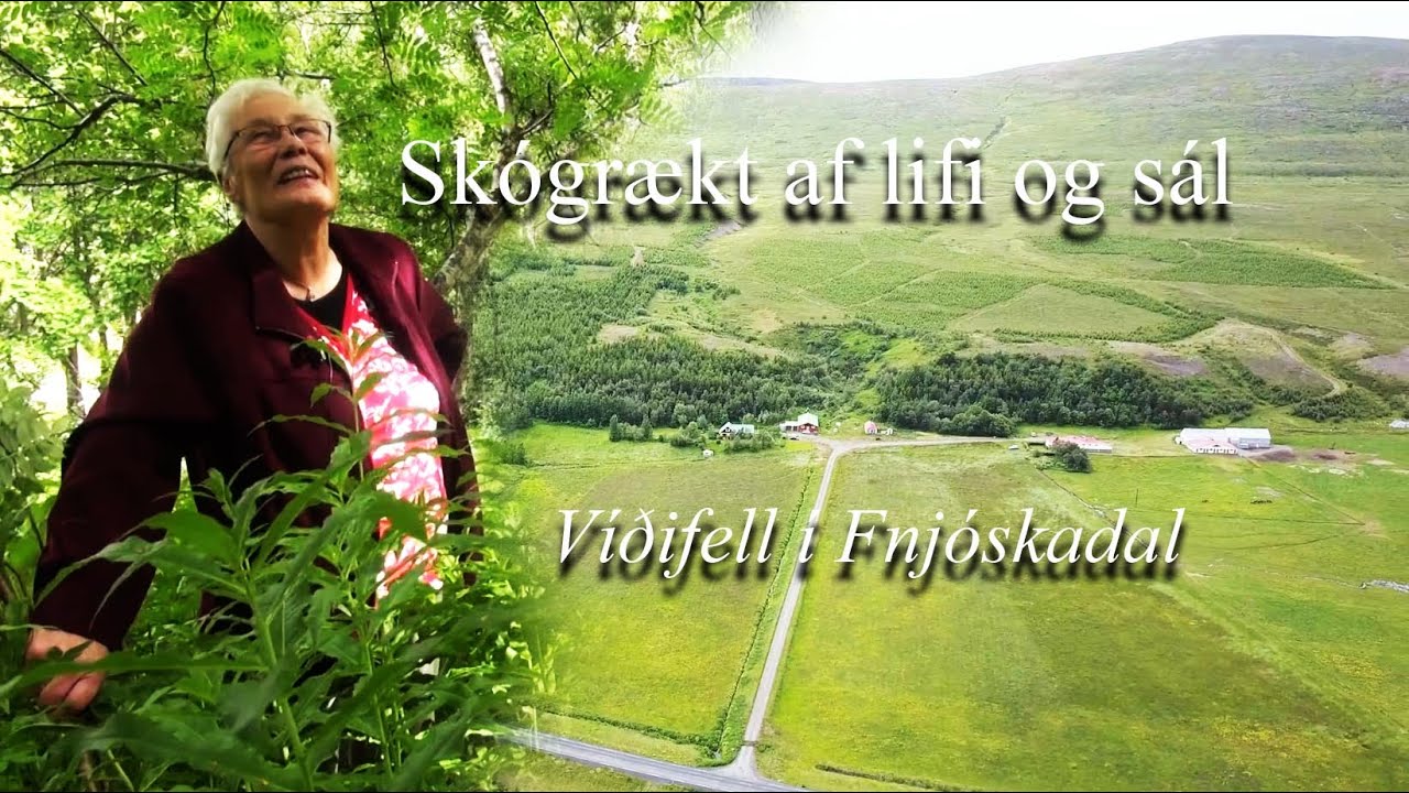 Skógrækt af lífi og sál