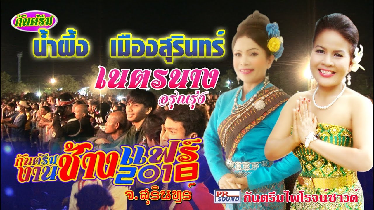 กันตรึมแสดงสดงานช้างแฟร์ 2018-น้ำผึ้ง เมืองสุรินทร์,เนตรนาง อรุณรุ่ง