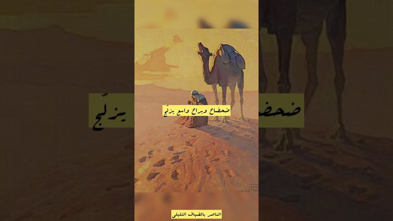 الاديب الناصر بالضياف التليلي - ضحضاح