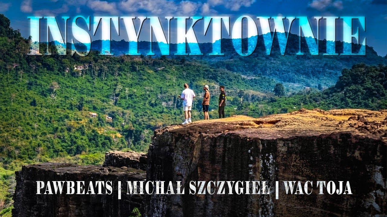 Pawbeats ft. Michał Szczygieł x Wac Toja - INSTYNKTOWNIE (UA UA)