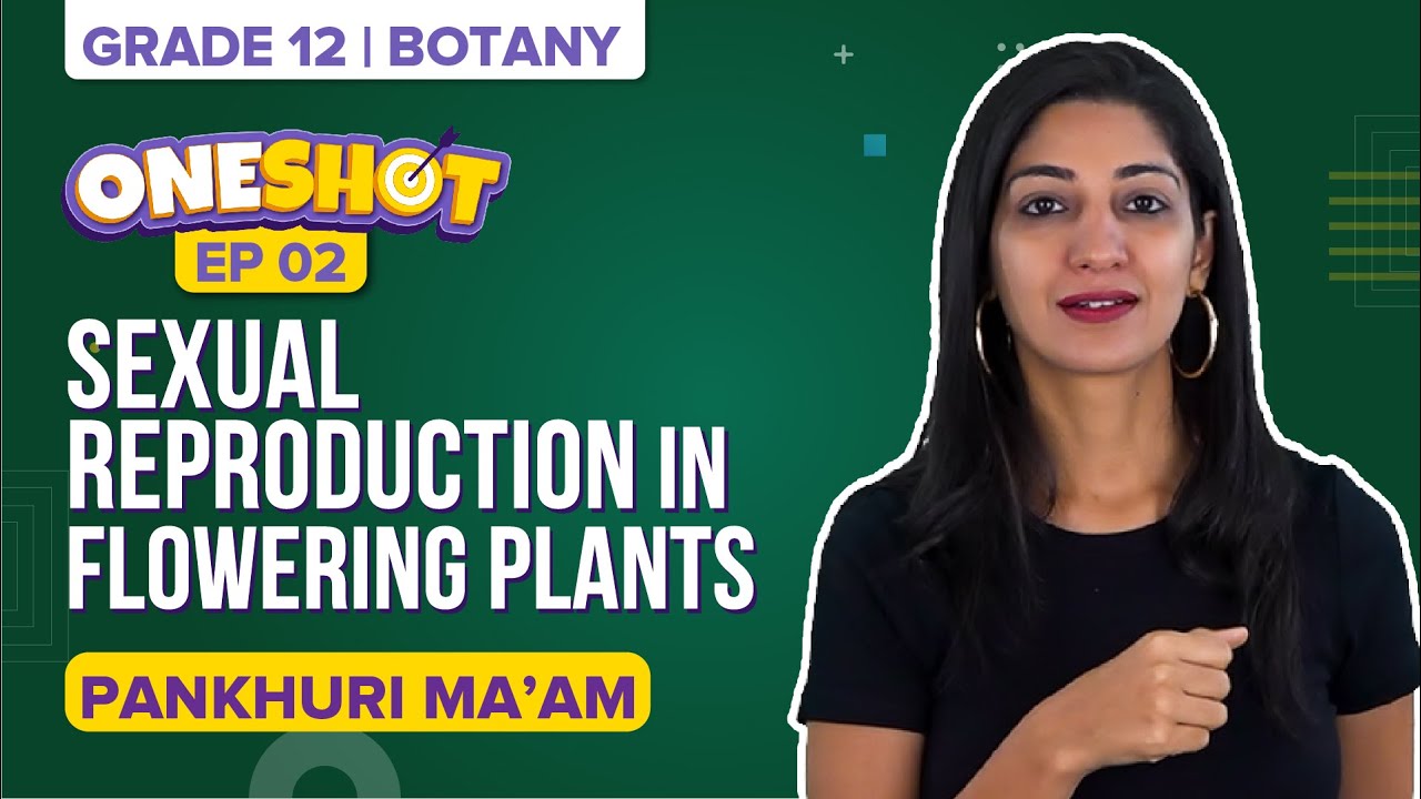 Sexual Reproduction in Flowering Plants Class 12 Biology (Chapter 2 Botany) One Shot & Mind Maps
