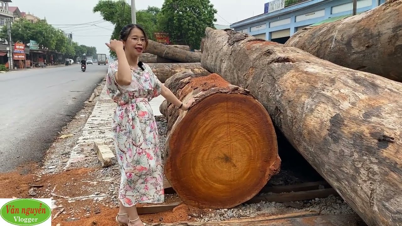 Nếu là một khách hàng đi chọn mua gỗ lim tròn bạn sẽ cần những kinh nghiệm gì để mua hàng chất lượng