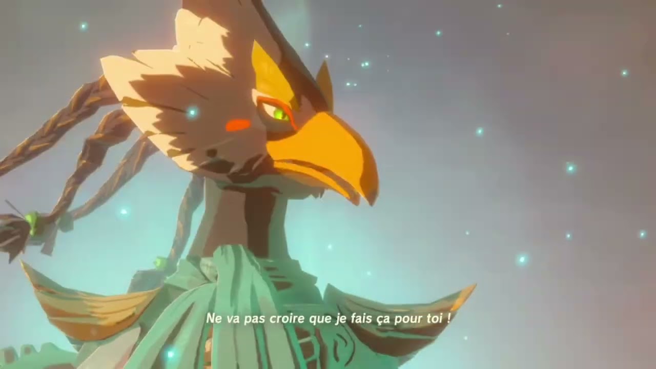 Avoir l’arc de lumière dans sa partie principale Zelda BOTW sans aspects néfastes !!