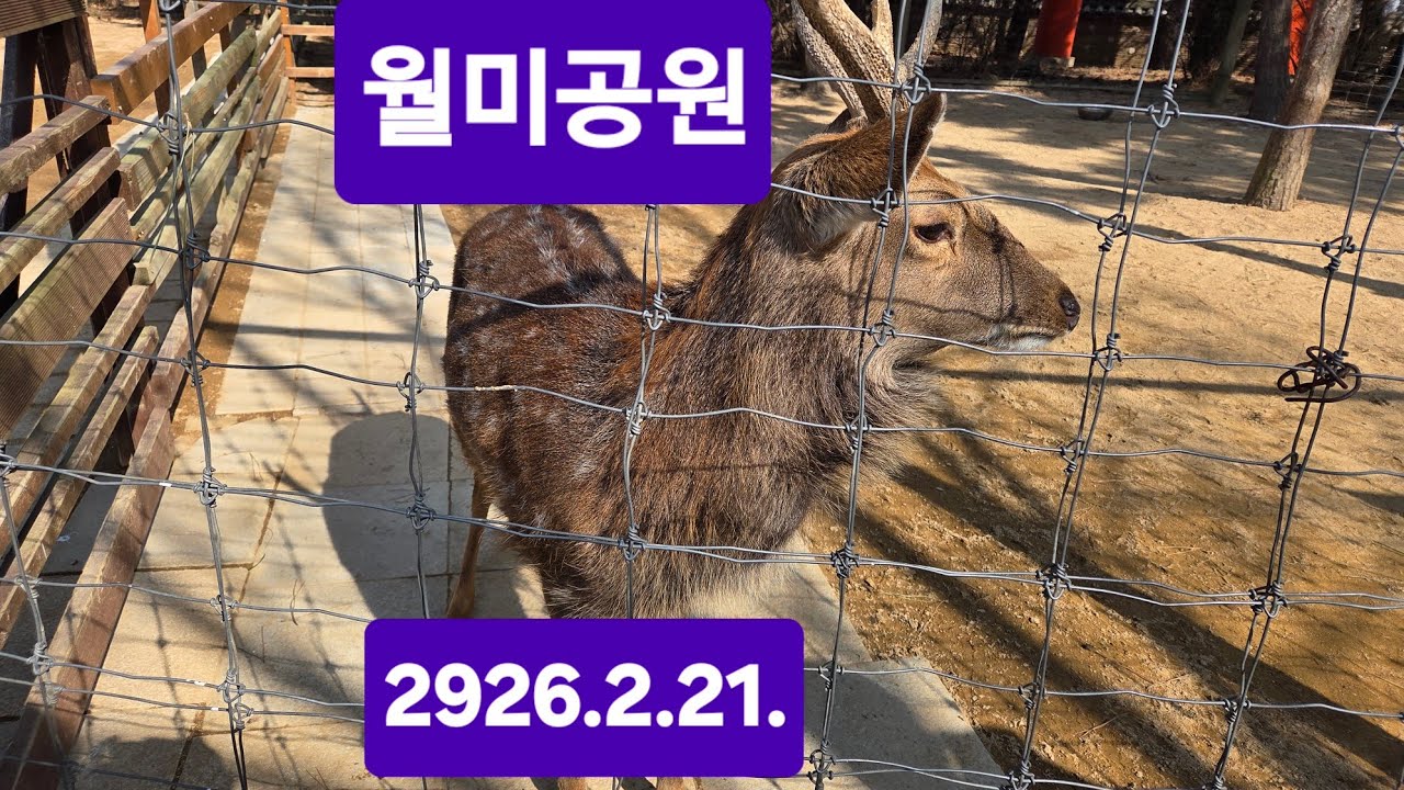 월미공원(2026.2.21)