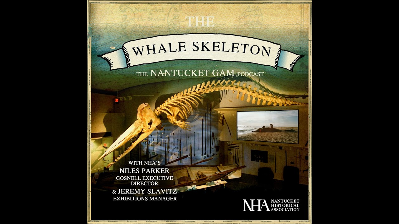 The Whale Skeleton - with Niles Parker and Jeremy Slavitz