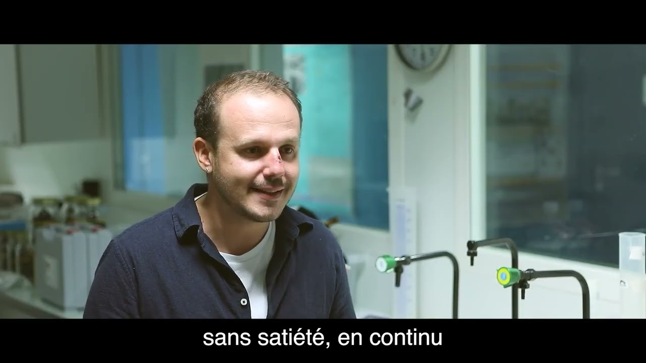 Dr Guillaume Marchessaux, Prix Spécial 2025 du Prix départemental pour la Recherche en Provence