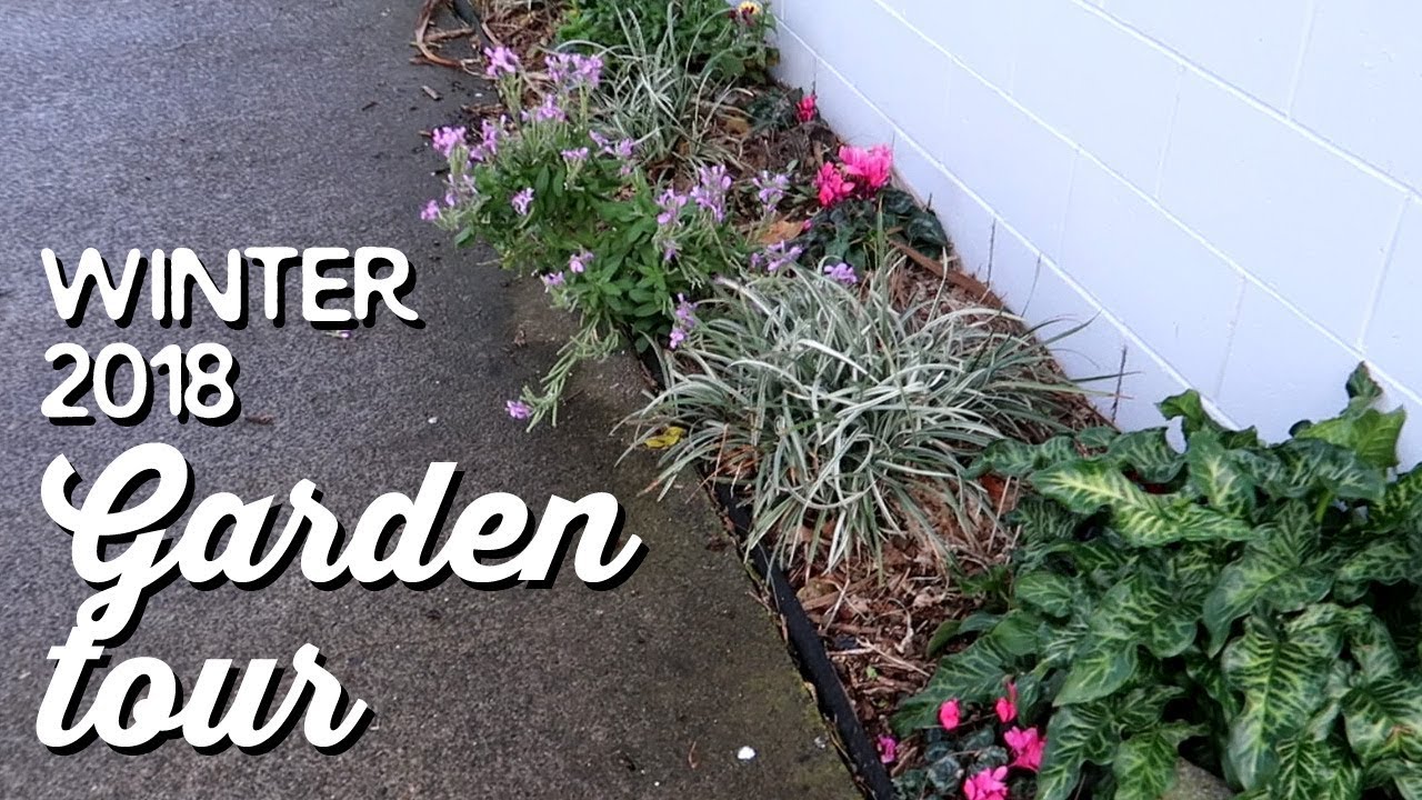 Garden Tour: Winter 2018 | A Thousand Words
