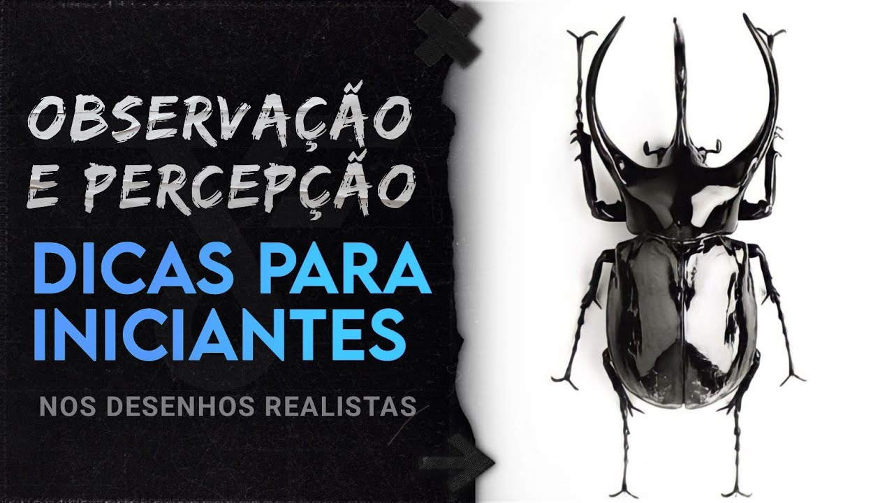 Como Desenvolver a Sua Observação e Percepção nos Desenhos Realistas