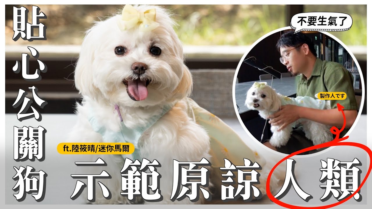 熊爸說：這狗狗百年難得一見好個性！什麼意思！？ft. 