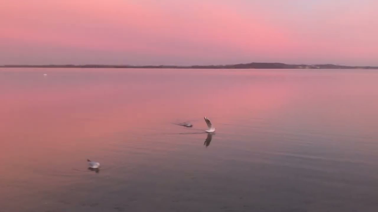 Stralsund am Strand  Spazieren gehen am 25.Dez. 2025￼