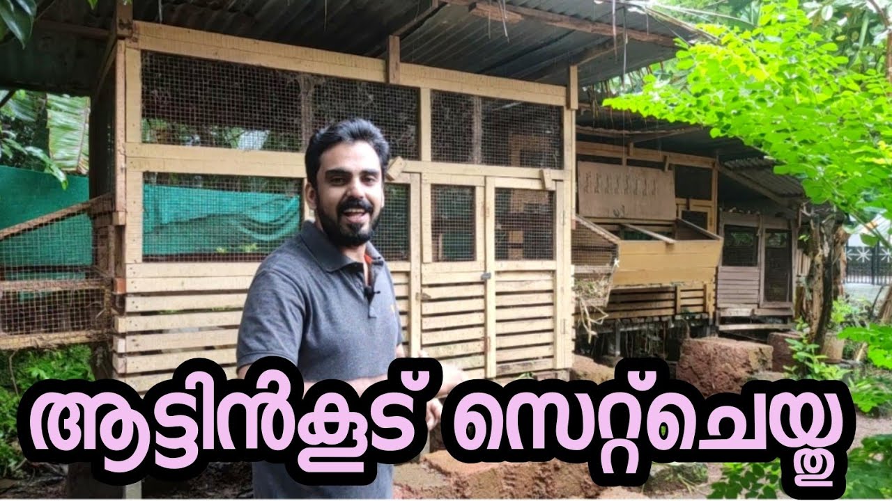 ആട്ടിൻ കൂട് മാറ്റി സ്ഥാപിച്ചതാ, goat cage @jabi farm😄👍