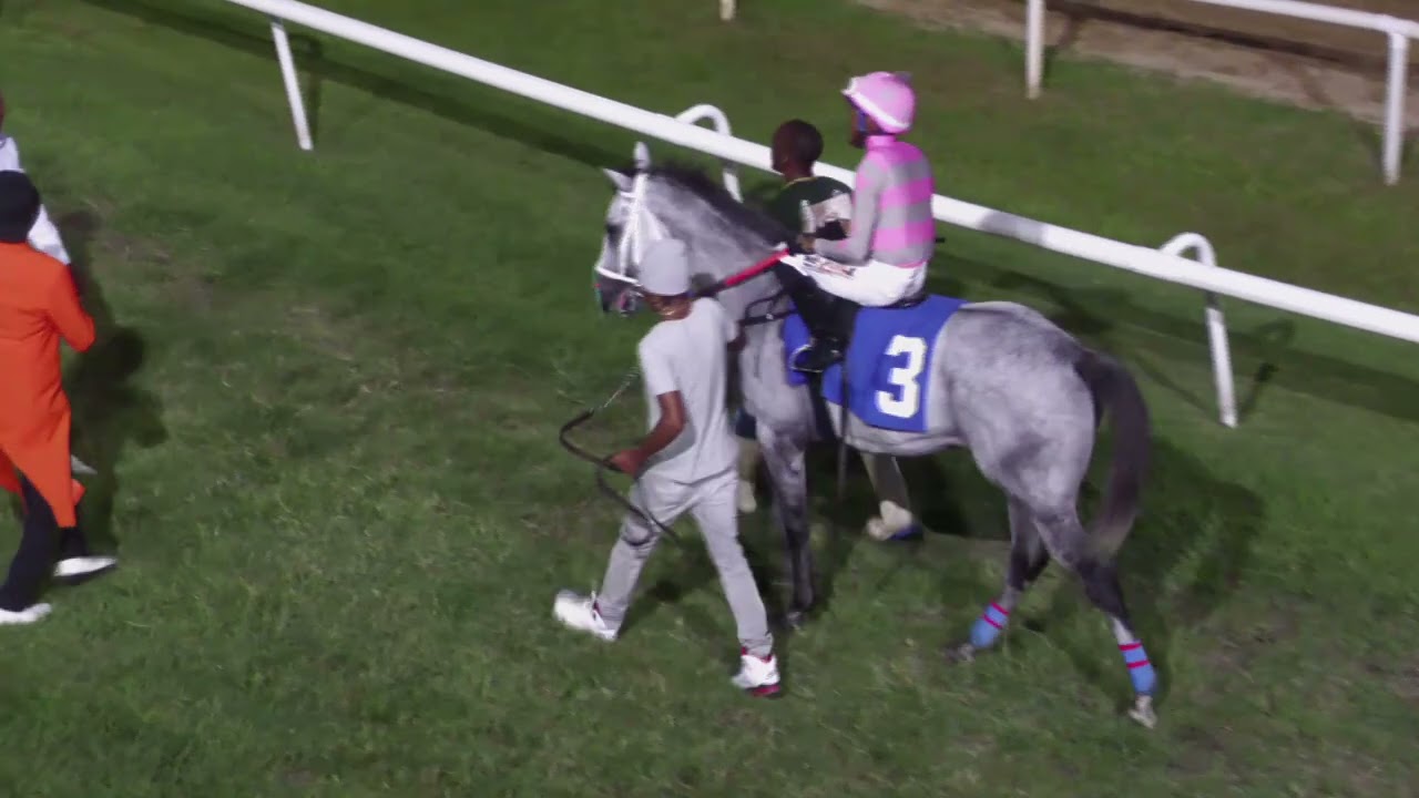 BTC RACE DAY 7TH FEB 2026   RACE 8