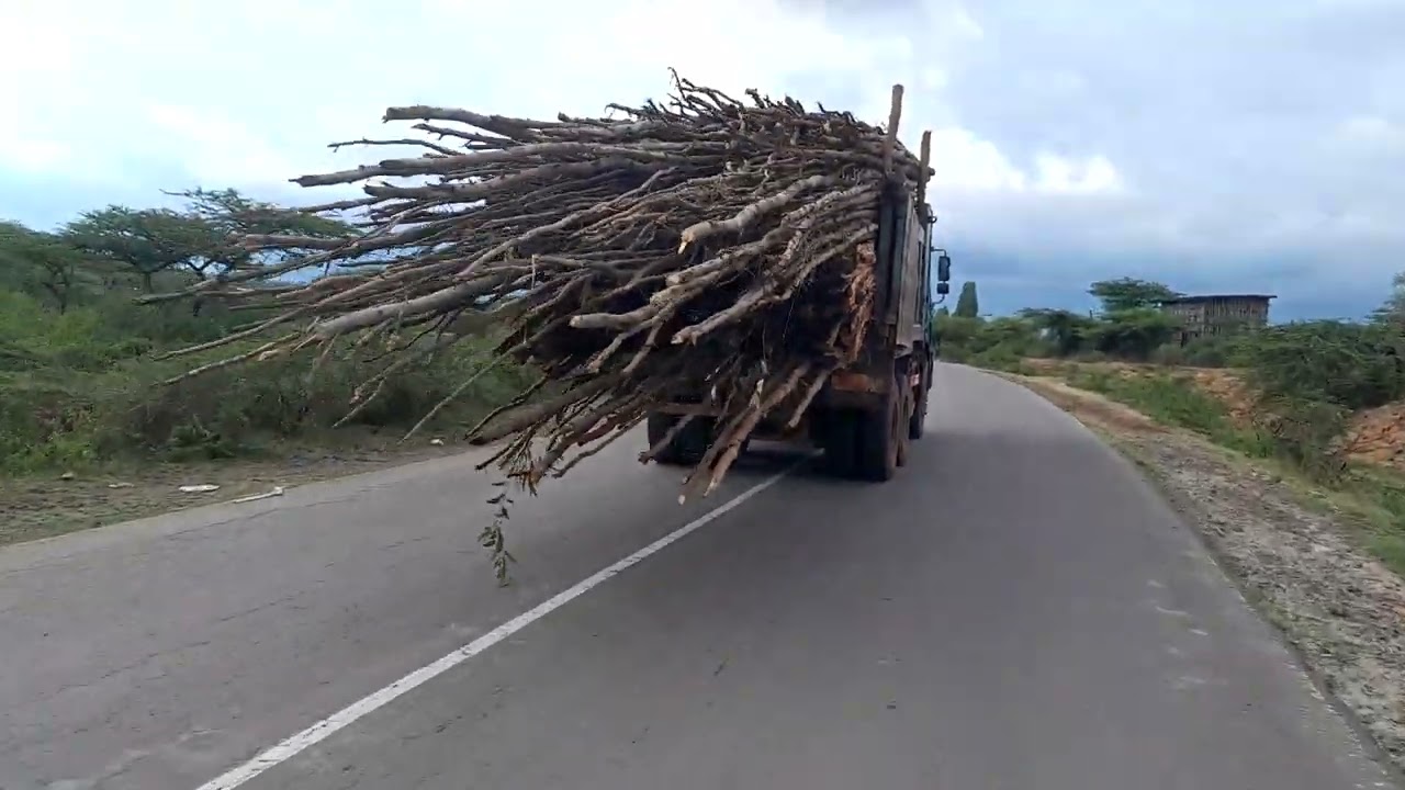 ሀላባ ገጠሩ አካባቢን ላስጎብኛቹ