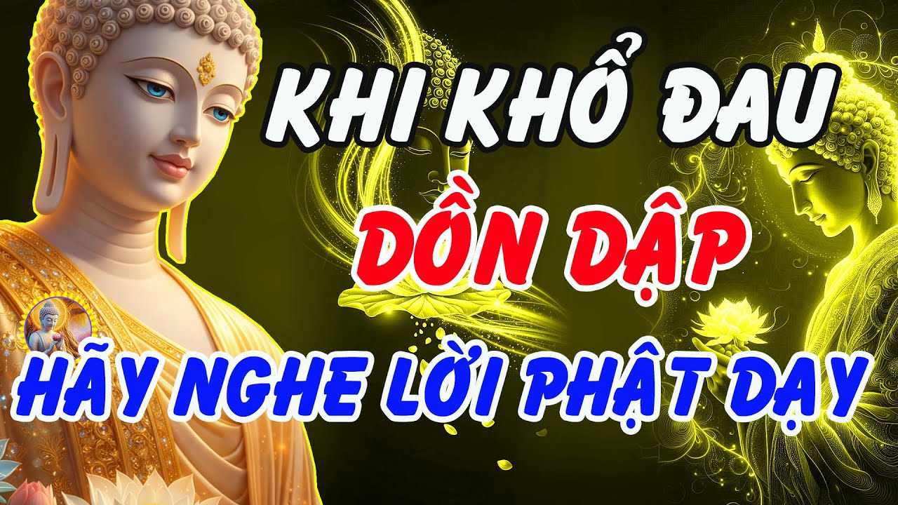 Khi Khổ Đau Dồn Dập – Đây Là Cách Phật Dạy Giúp Bạn Sống An Nhiên Mỗi Ngày