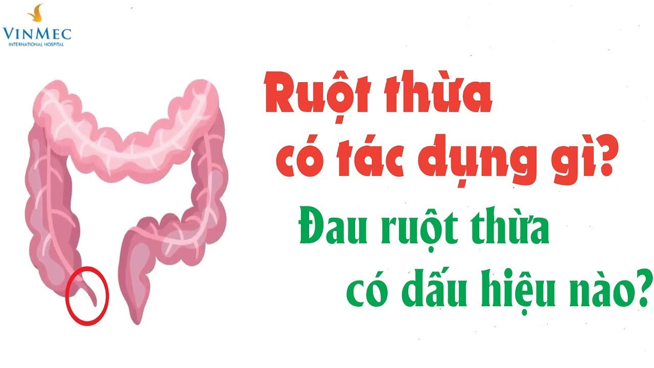 Ruột thừa c&oacute; t&aacute;c dụng g&igrave;? Đau ruột thừa c&oacute; dấu hiệu n&agrave;o?
