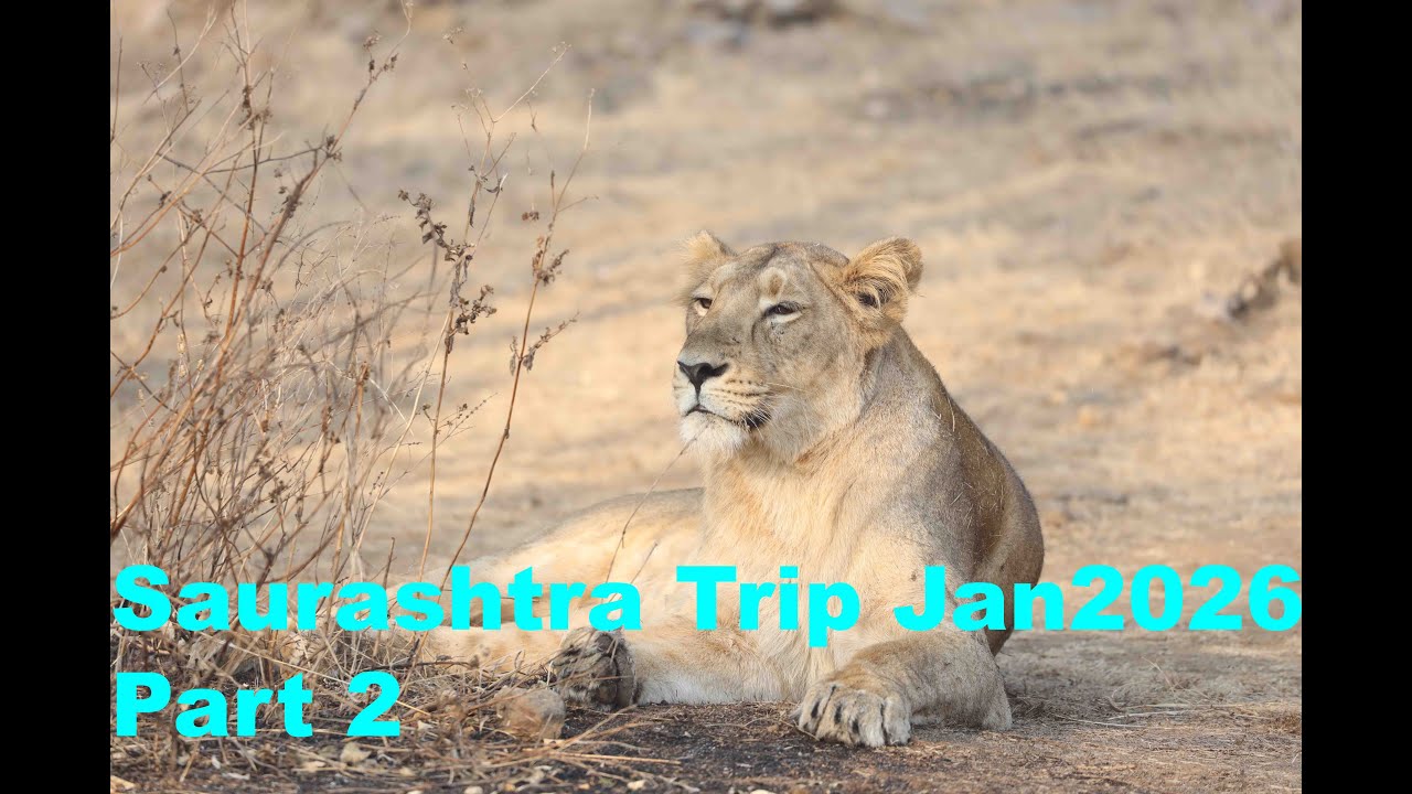 Our Trip to Saurashtra in Jan 2026 - Part 2