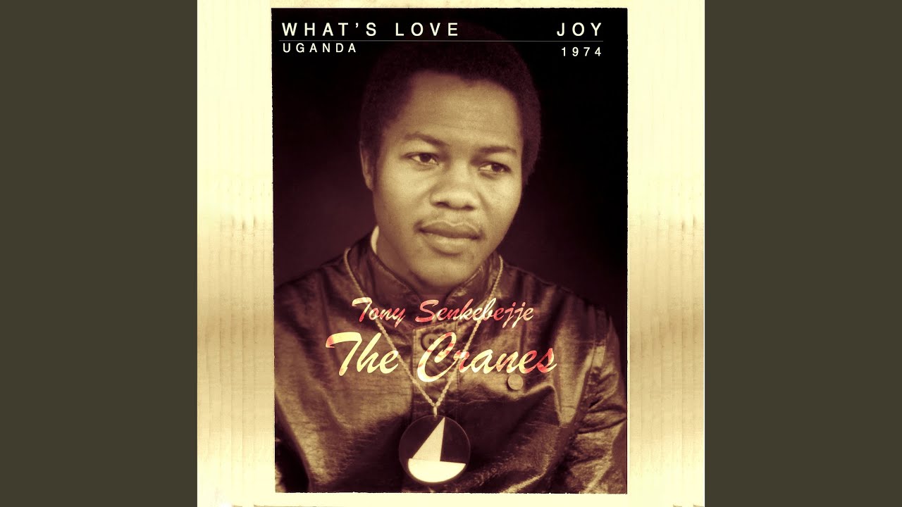 What's Love