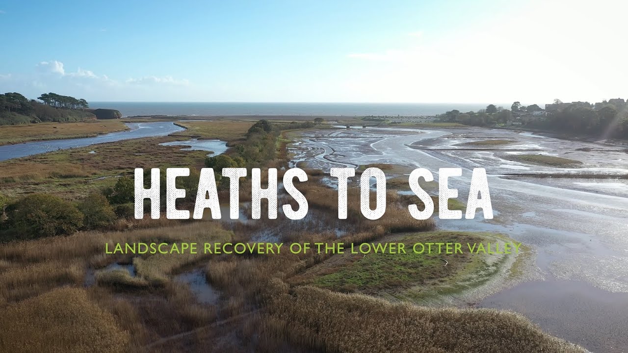 Introducing Heaths to Sea landscape recovery of the lower Otter Valley