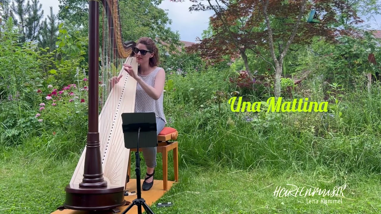 Una Mattina (Einaudi) on harp