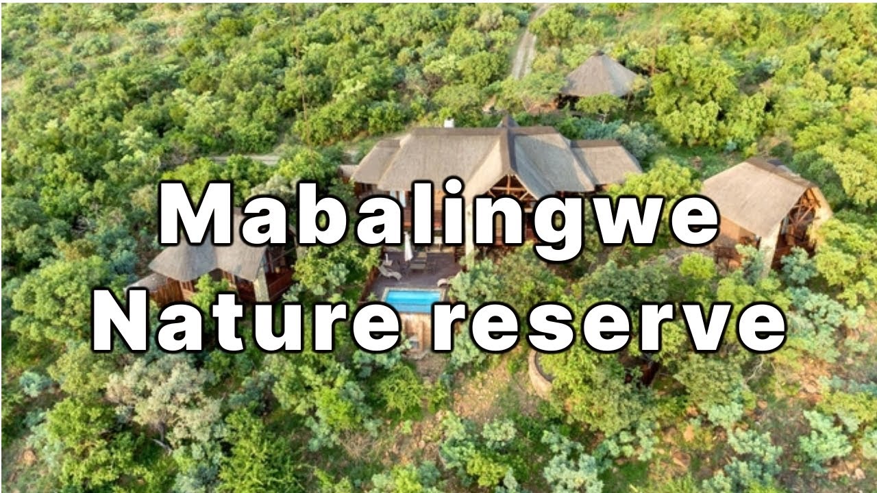 Mabalingwe Nature Reserve | Day 1| Bela Bela | May 2022