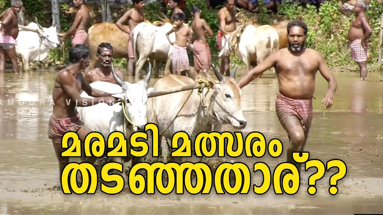 മരമടി മത്സരം തടഞ്ഞതാര് ?