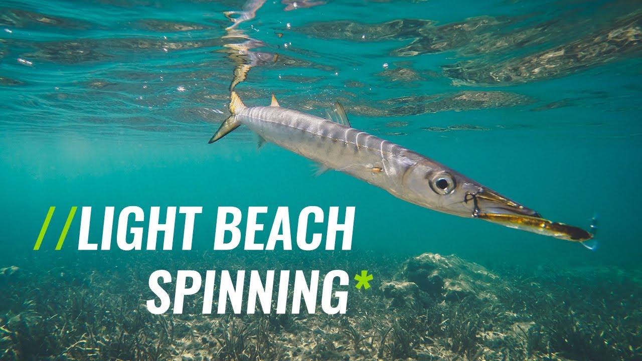 Light Beach Spinning