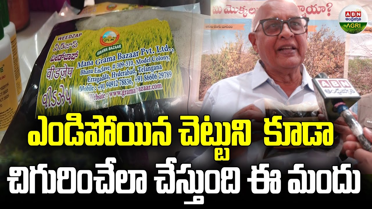 రసాయనాలకి గుడ్ బై చెప్పే  ద్రావణం | Solution To Avoid Chemical fertilizers -  ABN Agri