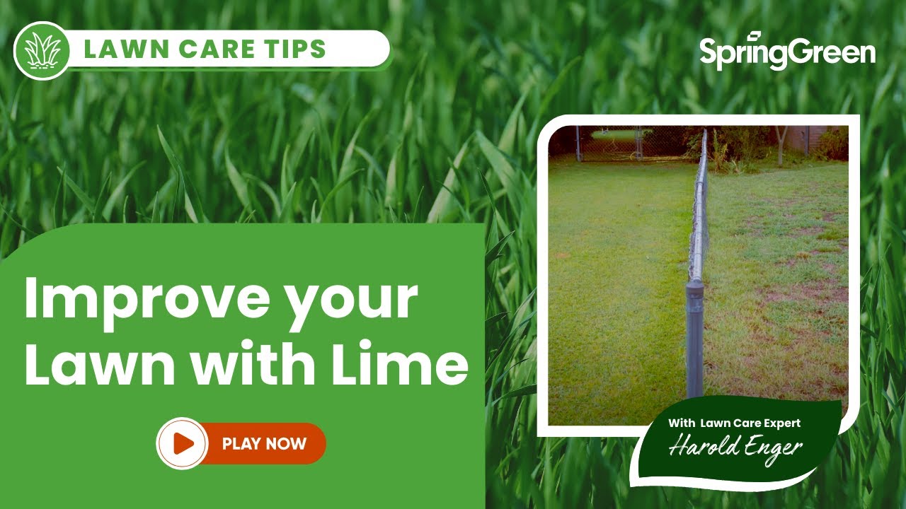 Lime Treatments for Lawns: Fix Acidic Soil & Boost Grass Growth